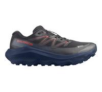 Salomon Ultra Flow 2 GORE-TEX Schuhe schwarz dunkelblau rot - 44(2/3)