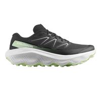 Salomon Ultra Flow 2 Trailrunning-schuhe EU 46