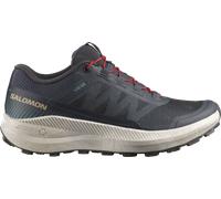 Trail-Schuhe Salomon VISION 195751755092 Größe 44 EU