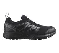 SALOMON Herren Trailrunningschuhe SHOES WANDER GTX Black/Pewter/