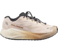 SALOMON Aero Blaze 4 Grvl (Damen) Laufschuhe 40