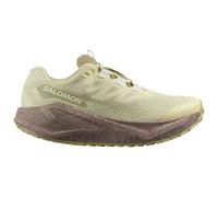 Salomon - Women's Aero Blaze 3 Grvl GTX - Runningschuhe, Gr. 43 EU 43 1/3, beige (GreenHaze/Iron/IceFlow)