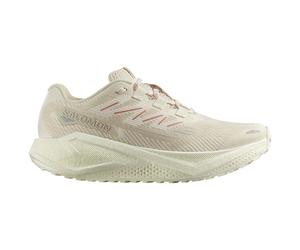 Salomon - Women's Aero Blaze 3 Grvl - Runningschuhe, Gr. 39 EU 38 2/3, beige (VanillaIce/AlmondMilk)