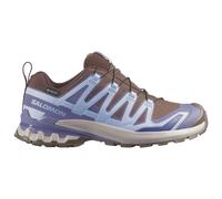 Salomon - Women's XA Pro 3D V9 GTX - Multisportschuhe, Gr. 40, grau (DarkEarth/BrunneraBlue/Heron)