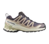 Salomon - Women's XA Pro 3D V9 GTX - Multisportschuhe, Gr. 43 EU 43 1/3, beige (NineIron/OxfordTan/Alfalfa)