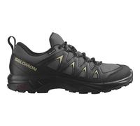 Wanderschuh SALOMON "X BRAZE GORE-TEX" Gr. 41, grau (anthrazit) Schuhe Herren wasserdicht (20639114-41)