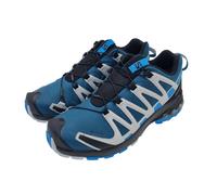 Salomon XA Pro 3D v8 GTX Herrenschuhe Legion/Blithe/Prl - 416292 - 40