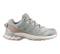 Salomon - Women's XA Pro 3D V9 GORE-TEX Lifelong - Multisportschuhe, Gr. 36, grau (WroughtIron/OxfordTan/VanillaIce)