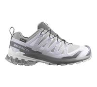 Salomon XA Pro 3D V9 GTX Damen Trailrunningschuhe, silber, Größe 40 40