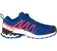 Salomon XA Pro 3D V9 GTX Equipe Trailrunningschuh UK 11