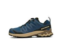 Salomon Men's XA 3D Pro V9 GORE-TEX Poseidon/white Pepper/falcon 46 2/3