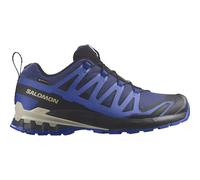 Salomon XA Pro 3D v9 GTX 472703, Mens Running Shoes, Blue, 46 EU