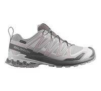 Salomon XA PRO 3D v9 GORE-TEX Trailrunningschuhe hellgrau/dunkelgrau/weiß - 43(1/3)