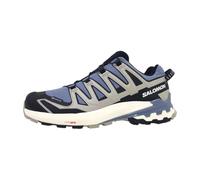 SALOMON Herren Trailrunningschuhe SHOES XA PRO 3D V9 GTX Flint/Black/Ghost (L47270600) 43 ⅓ Flint Stone/Black/Ghost Gray