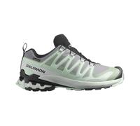 Salomon XA PRO 3D v9 GORE-TEX Damen Trailrunningschuhe grau/grün - 43(1/3)