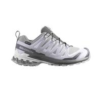 Salomon - Women's XA Pro 3D V9 GTX - Multisportschuhe, Gr. 38, grau (Alloy/Castlerock/LunarRock)