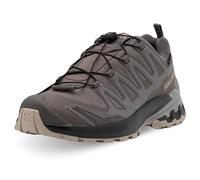Salomon Women's XA Pro 3D V9 GORE-TEX Plum Kitten/black/gull 40 2/3