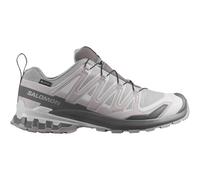 Salomon XA Pro 3D v9 GTX Wanderschuhe Herren 46 2/3 Grau