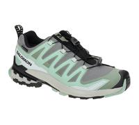 Salomon XA PRO 3D v9 GORE-TEX Damen Trailrunningschuhe grau/grün - 43(1/3)