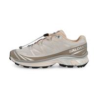 Salomon XT-6 Beige/Silber 44 2/3