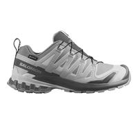 SalomonXa Pro D V GTX 39.3grau- Größen: EU Damen 39.3 grau