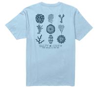 Salty Crew Coral Head SS Tee clear sky (CSKY) M