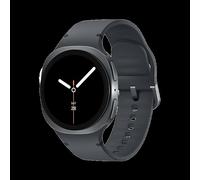 Samsung Watch8 SM-L325 40mm LTE, grey (EU) (SM-L325FDAAEUE) - PayPal 0% Finanzierung