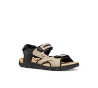 Sandale GEOX, Herren, Gr. 43, beige, schwarz, Lacklederimitat, Synthetik, Basic, Schuhe Sandale, Sommerschuh, Klettschuh, Outdoorsandale im Trekking-Look (67360018-43) beige, schwarz
