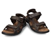 Panama Jack Herren Salton Basics Peeptoe Sandalen, Braun (Marron C1), 47 EU