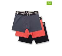 Sanetta - Kid's Set Shorts 349396 3-Pack - Unterhose, Gr. 140, bunt (Grisaille)