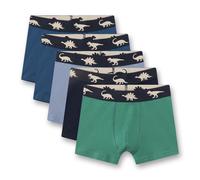 Sanetta Jungen Shorts, 5er Pack - Kids, Dinos, Single Jersey, Baumwoll-Stretch Grün/Blau / 128 128 Mehrfarbig
