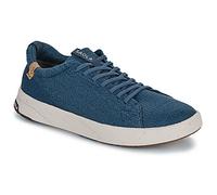 Saola Sneaker CANNON KNIT 2.0 WOOL in Blau 37