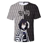 Satdflie Japan Anime Demon Slayer T-Shirt Erwachsene Männer Frauen Cosplay Print Shirt Sommer Weihnachtsidee Fans Geschenke Kurzarm, Grau/2, L
