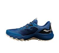 Saucony Damen Aura Tr GTX Wanderschuh, Astro/Dew, 39 EU