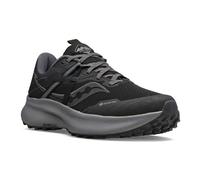 Saucony Damen Ride 15 TR GTX schwarz 38.5