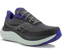 Saucony TRIUMPH 23 GTX Laufschuhe 38,5 grau