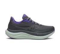 Saucony Triumph 23 GTX Damen 41 Grau