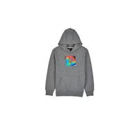 scans pullover hoodie kinder grau Kid L