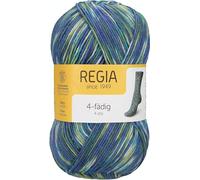 Schachenmayr REGIA 4P Color 100g, 9801269-09395, Farbe:Camping, Handstrickgarne