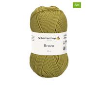 Schachenmayr since 1822 20er-Set: Kunstfasergarne ''Bravo'' in Grün - 20x 50 g - 60% | Kreativbedarf Diy