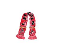 SCHAL FANSCHAL „Die Macht am Rhein” 1. FC KÖLN