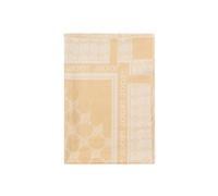 Schal JOOP "Schal JW221A103", Damen, braun (braun (pastel braun)), Obermaterial: 52% Viskose CV. 48% Polyacryl PAN., Modetücher Schal (95797033-0) braun (pastel braun)