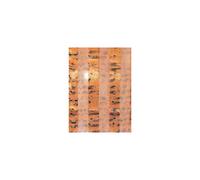 Schal Noten, orange/ schwarz