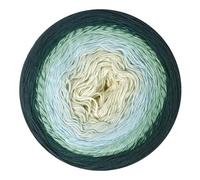 Scheepjes Cotton Whirl 1x1000m - 731 Blueberry Swirl, Blau und Grau
