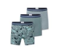 Shorts 3er-Pack Organic Cotton Dinos Ringel grün - 95/5 92