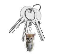 Schlüsselanhänger Katze | Niedliche Weinen Geräusche machen Schlüsselanhänger - Kreative Lustige 2D Acryl Handykette mit Lanyard für Geldbörse, Schultaschendekoration, Arme Katze, 4 cm [runde Schnalle