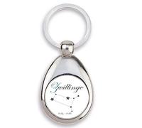 Schlüsselanhänger mit Sternzeichen & Einkaufswagen Chip,Horoskop,Geschenk Geburtstag Metall silber, Fische,Widder,Stier,Zwillinge,Krebs,Löwe,Jungfrau,Waage,Skorpion,Schütze,Steinbock (Zwillinge)