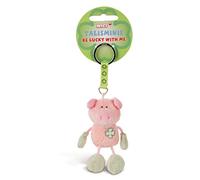 NICI 49382 Schlüsselanhänger Talisminis Schwein 7 cm rosa-grün-Kuscheltieranhänger mit Schlüsselring für Schlüsselband, Schlüsselbund & Schlüsselhalter Glücksbringer Taschenanhänger mit Botschaft