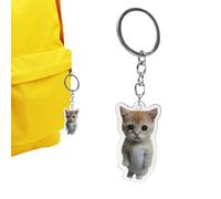 Schlüsselanhänger | Unisex Obstform Weinende Katze Schlüsselanhänger - Lustige 2D Acryl Handykette mit Lanyard für Geldbörse Geldbörse Schultasche Dekoration, Poor Cat 4 cm [runde Schnalle], Refer to