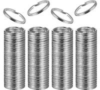 Schlüsselringe, 100 Stücke Schlüsselringe Edelstahl, Schlüsselringe Metall Spalt Ringe für Schlüsselanhänger Basteln, Auto, Haus, Schlüssel Zubehör (25mm)